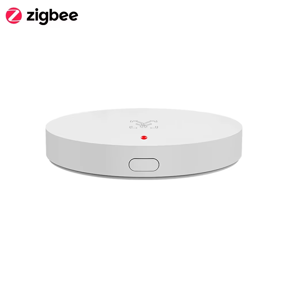 Tuya Zigbee 3.0 24GHz MmWave 人 - Smart Home Villa のレビューと価格